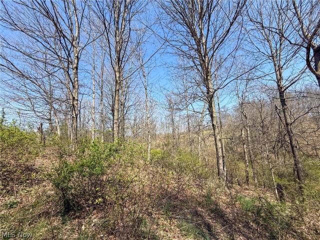 Land for sale in Guernsey, Ohio