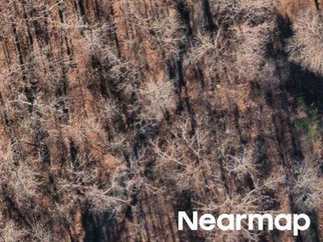 Land for sale in Ark