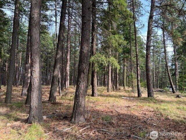 Land for sale in Cle Elum, Washington