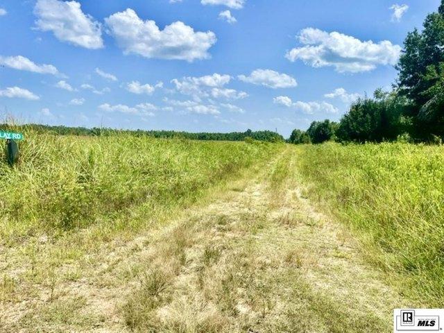 Land for sale in Oak Grove, Louisiana