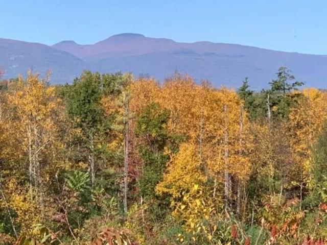 Land for sale in Kingston