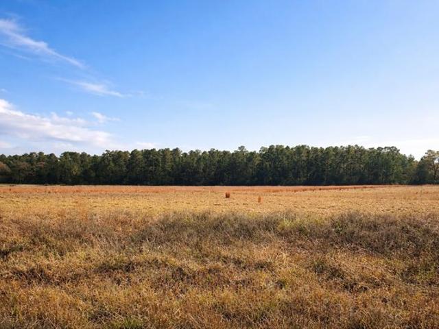Land for sale in Crockett, Texas