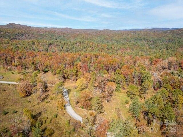 Land for sale in Cedar Mountain, North Carolina