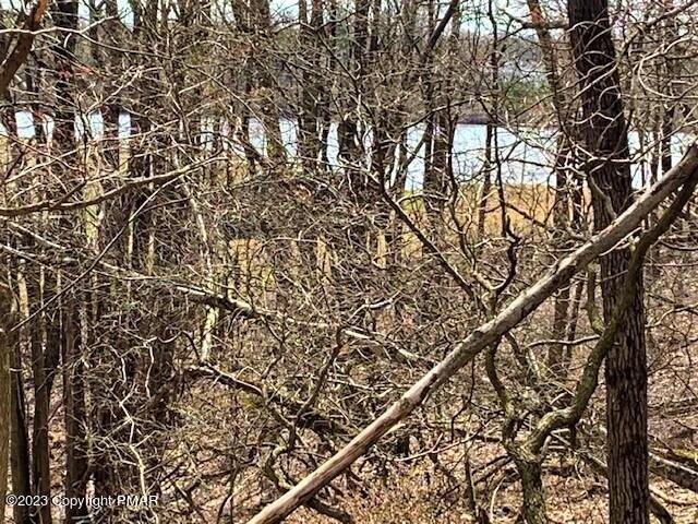 Land for sale in Long Pond
