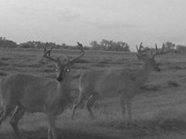 Land for sale in Kansas