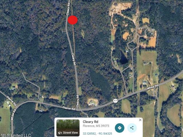 Land for sale in Florence, Mississippi