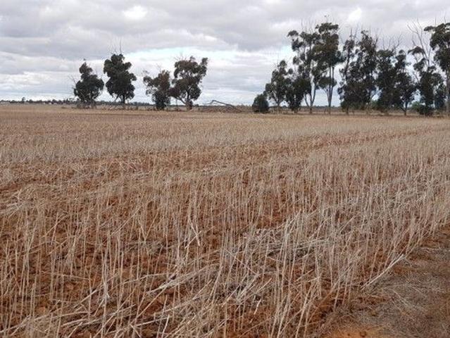 Land for sale in Tennyson, Victoria