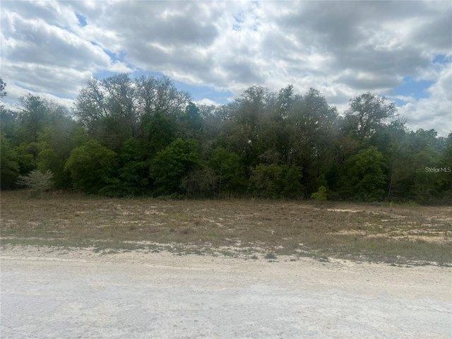 Land for sale in Webster, Sumter County