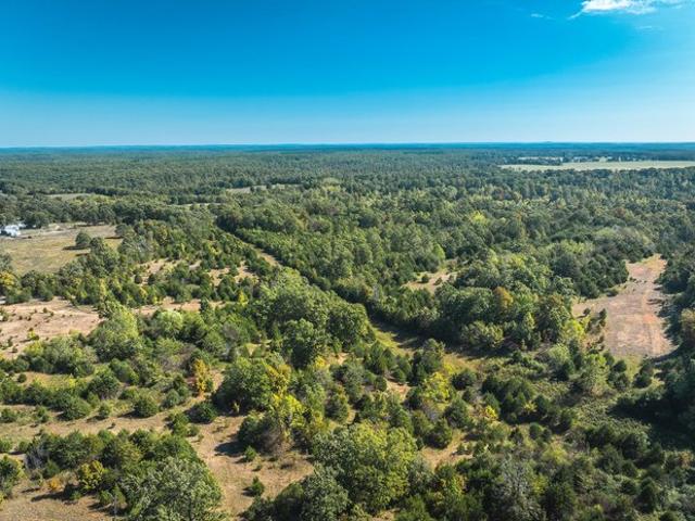 Farm for sale in Phelps, Missouri