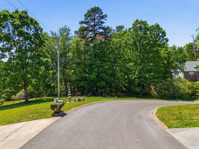 Land for sale in Ringgold, Georgia