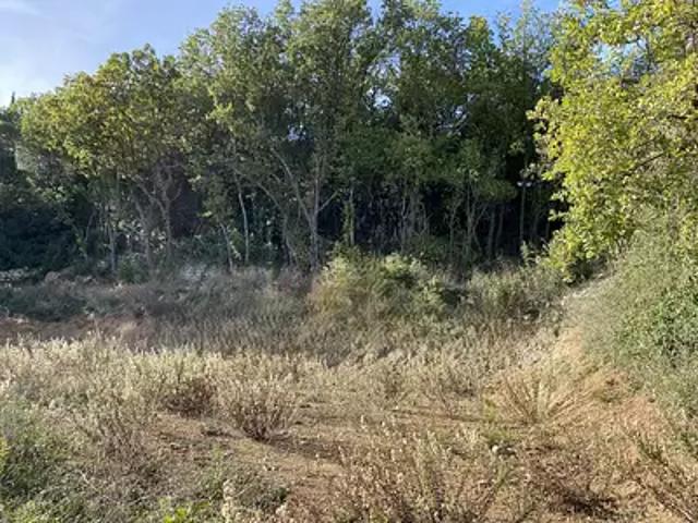 Terrain vente à Clermont-l'Hérault, Hérault