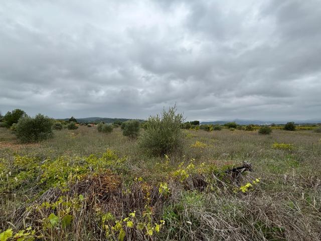 Terrain vente à Clermont-l'Hérault, Hérault
