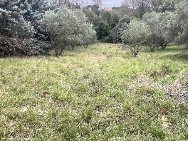 Terrain vente à Clermont-l'Hérault, Hérault