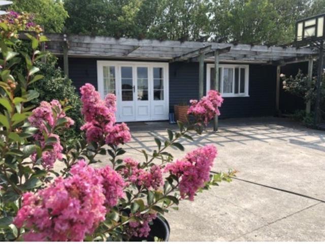 Apartment for rent in East Tamaki