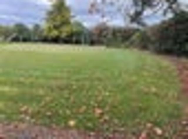 House for rent in Awhitu