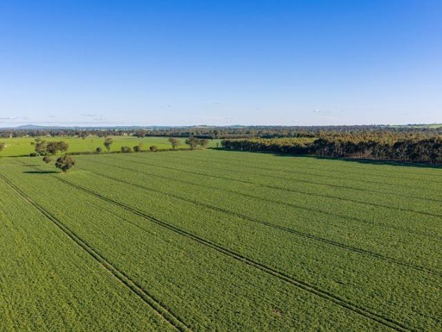 Cottage for sale in Culcairn, New South Wales