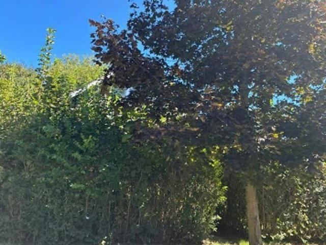 House for sale in Akron, Summit County