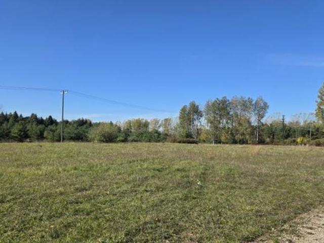 Land for sale in Bad Axe, Huron County