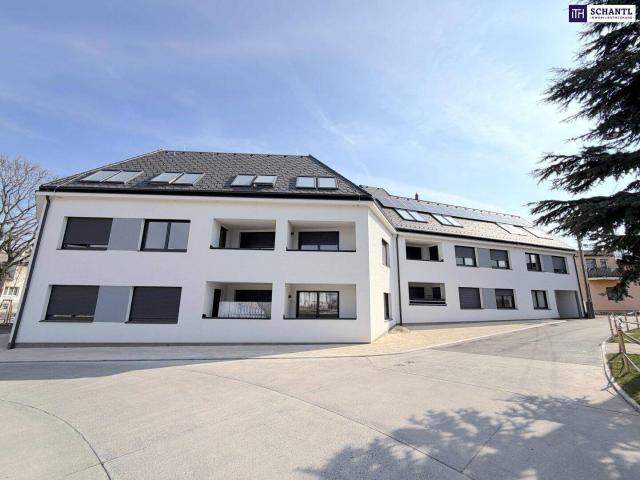 Apartment kaufen in Donaustadt, Wien