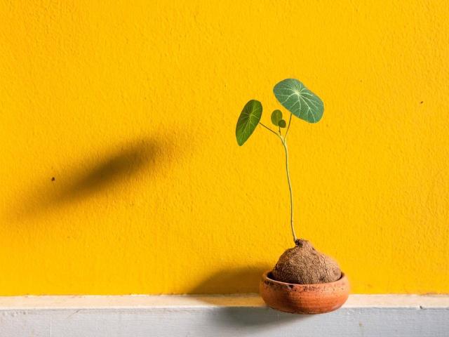 Apartment kaufen in Rum, Tirol