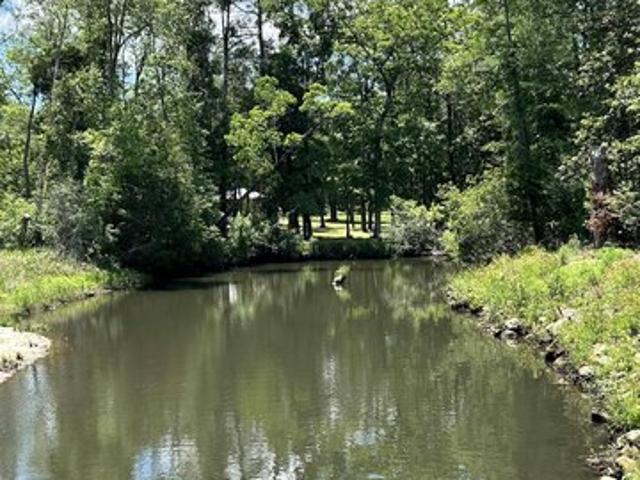 Land for sale in Magnolia Springs, Alabama