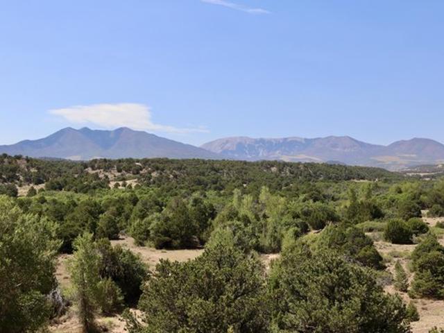 Land for sale in Colorado