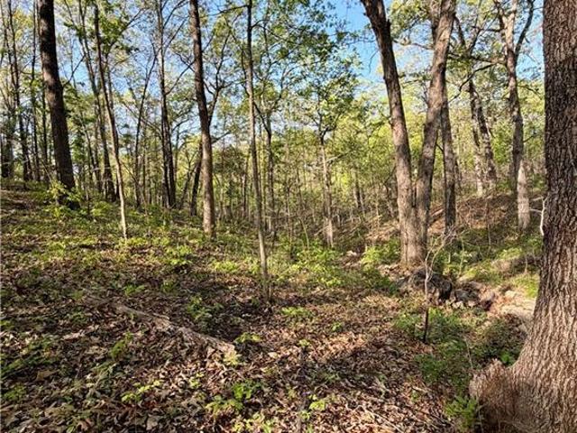 Farm for sale in Missouri