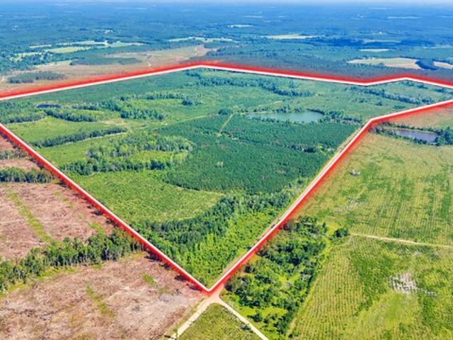 Land for sale in Swainsboro, Georgia