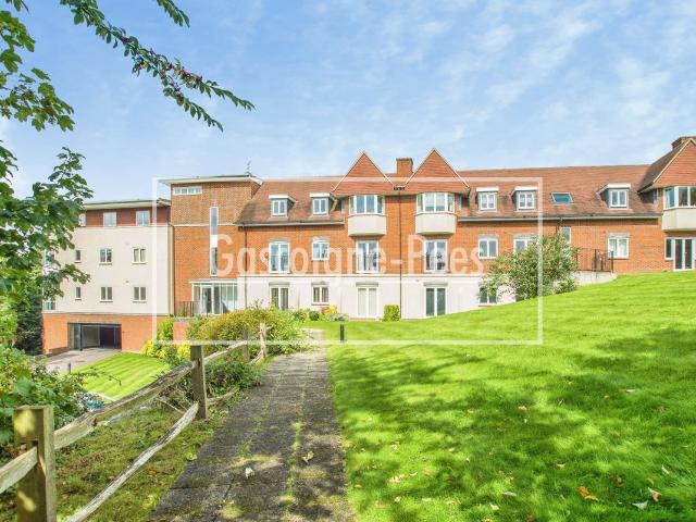 Apartment for rent in Tower Hill, Pachesham Park