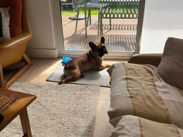 Room for rent in Camerons Creek, Victoria