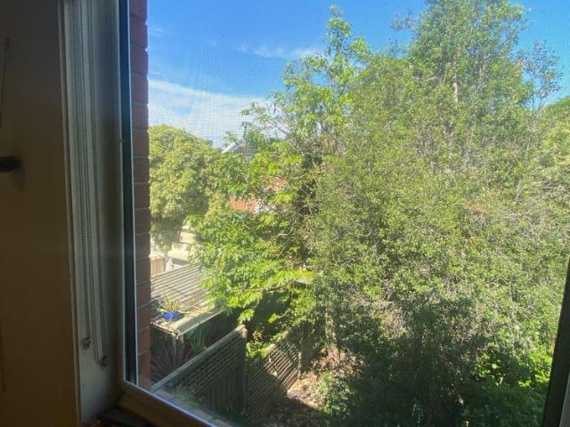 Room for rent in Camerons Creek, Victoria