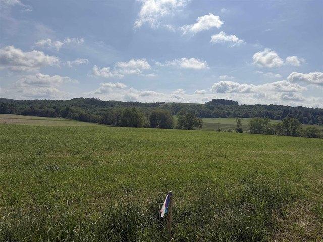Land for sale in Bruceton Mills, West Virginia