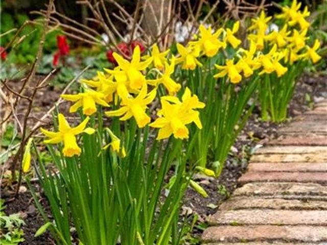 Detached House for sale in Dun Laoghaire, North Tipperary