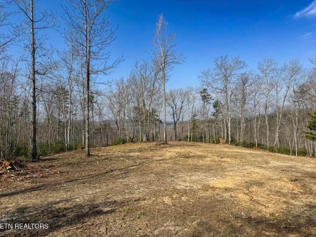 Land for sale in Tennessee