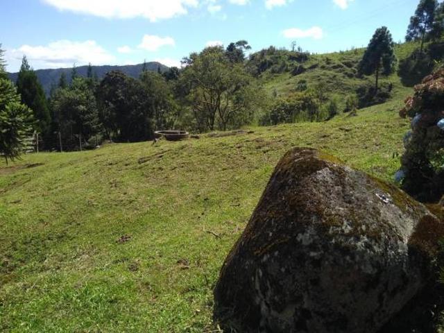 Sítio e chácara venda em Região Imediata de Guaratinguetá, Região Metropolitana do Vale do Paraíba e Litoral Norte