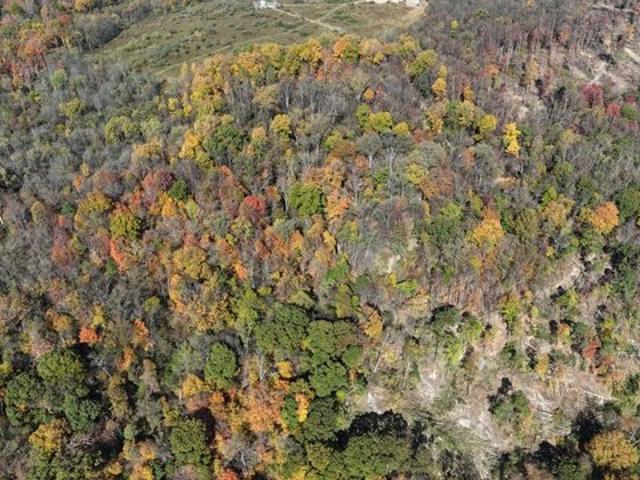 Land for sale in New Florence, Pennsylvania