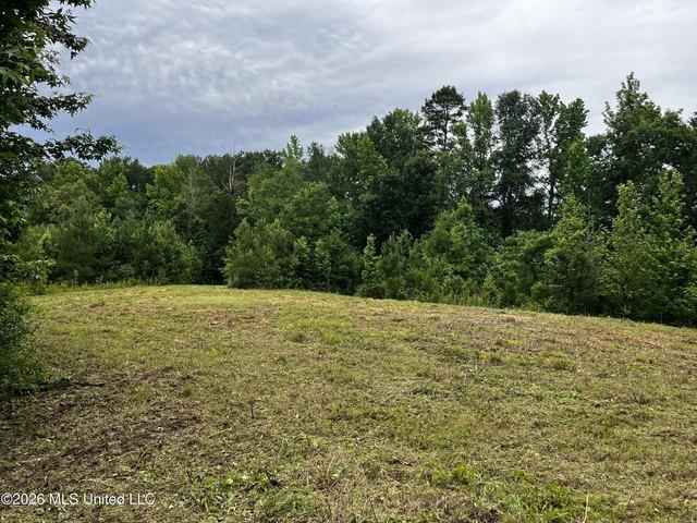 Land for sale in Wesson, Mississippi