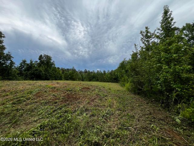 Land for sale in Wesson, Mississippi
