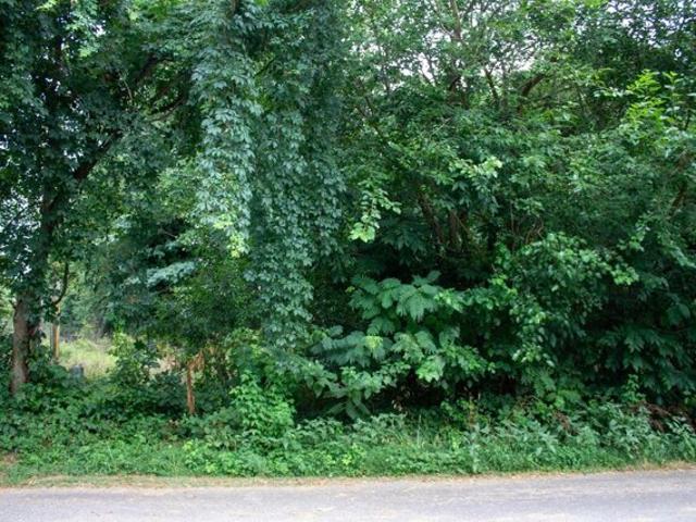 Land for sale in Taylors