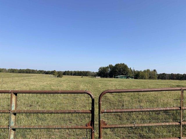 Land for sale in Clinton, Van Buren County