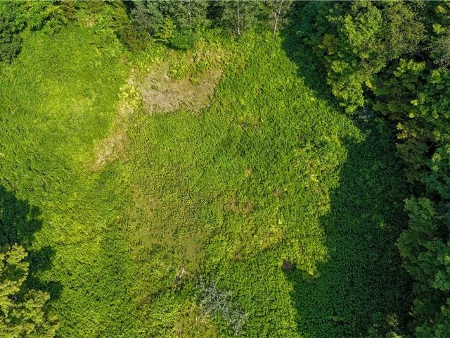 Land for sale in Groton, New York