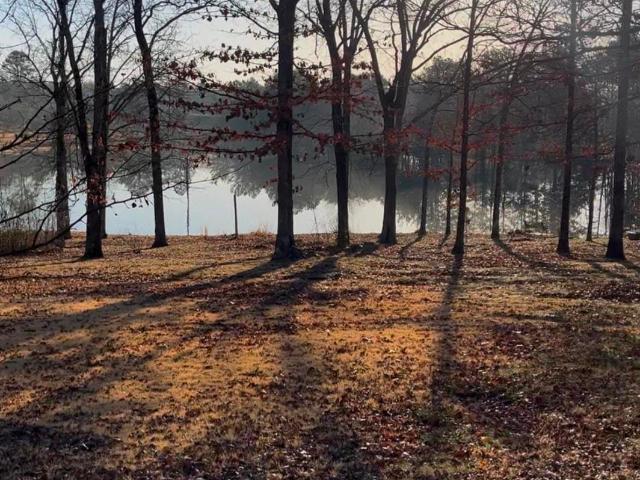Land for sale in Ark