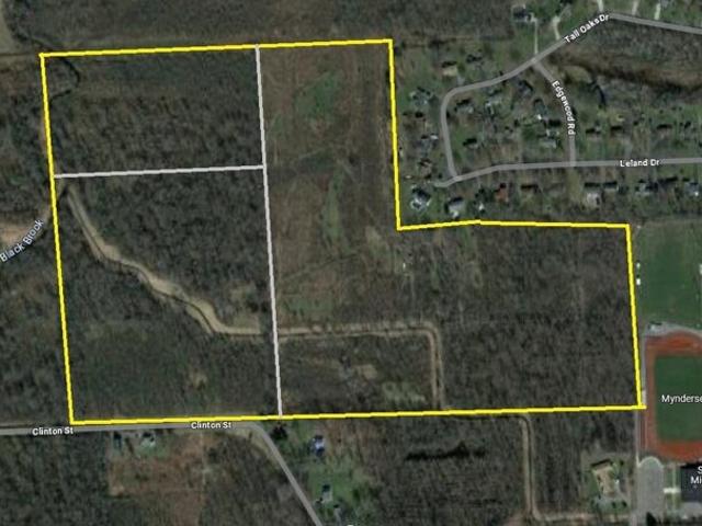 Land for sale in Seneca Falls
