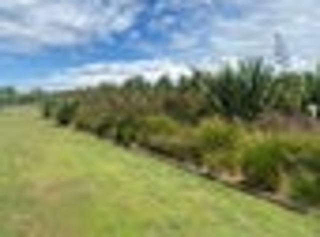 House for rent in Clive