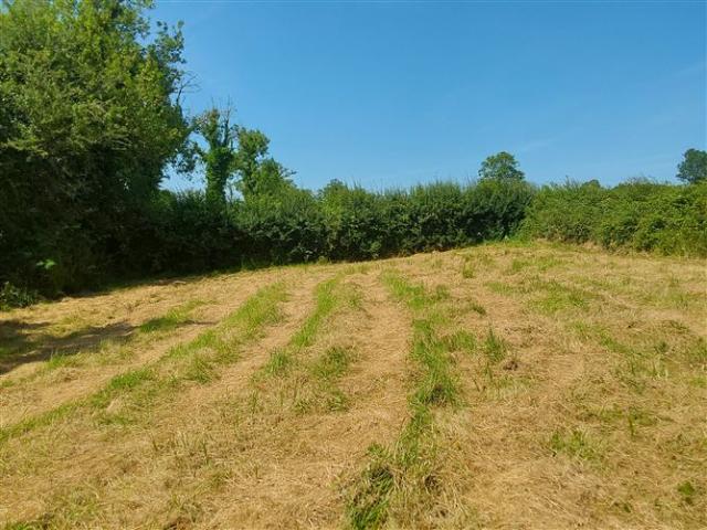 Terraced House for sale in Ulster