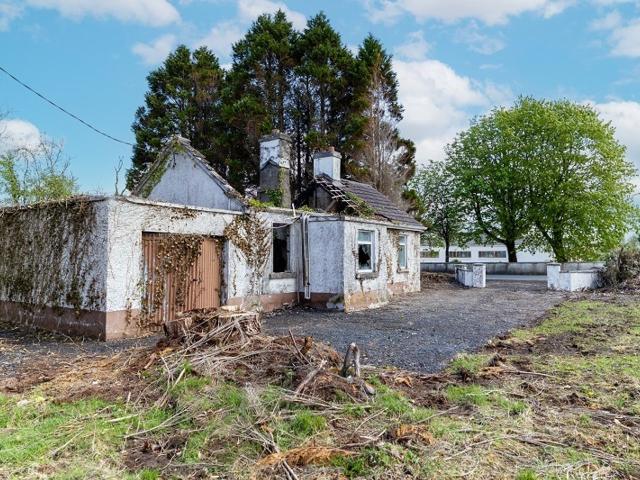 Farm for sale in Longford