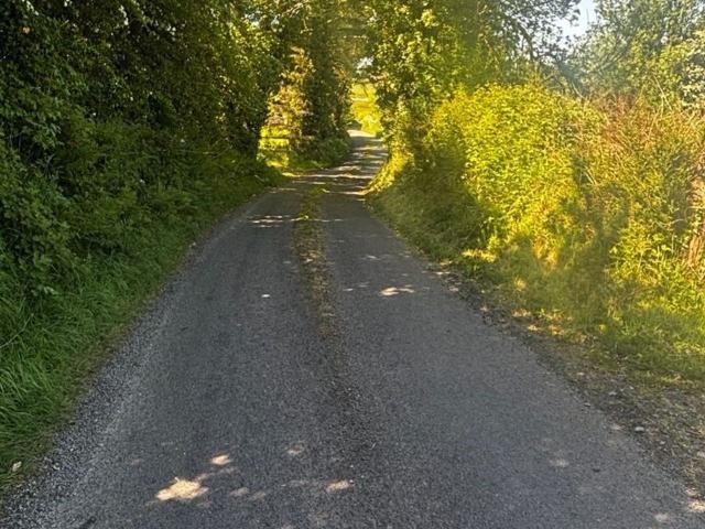 Bungalow for sale in Loughglinn