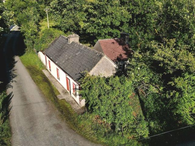 Farm for sale in Castlerea