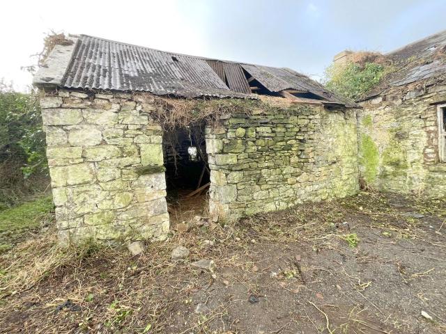 Farm for sale in Termonbarry