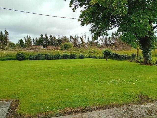 Farm for sale in Castlerea